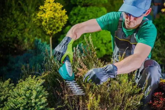landscaping services Chaumont